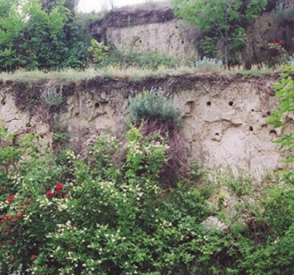 Gyurgyalag telep